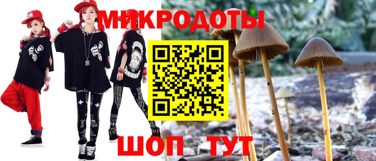 Выборг  Псилоцибиновые грибы ЛСД  Вход с VPN  Псилоцибиновые грибы GOLDEN TEACHER 